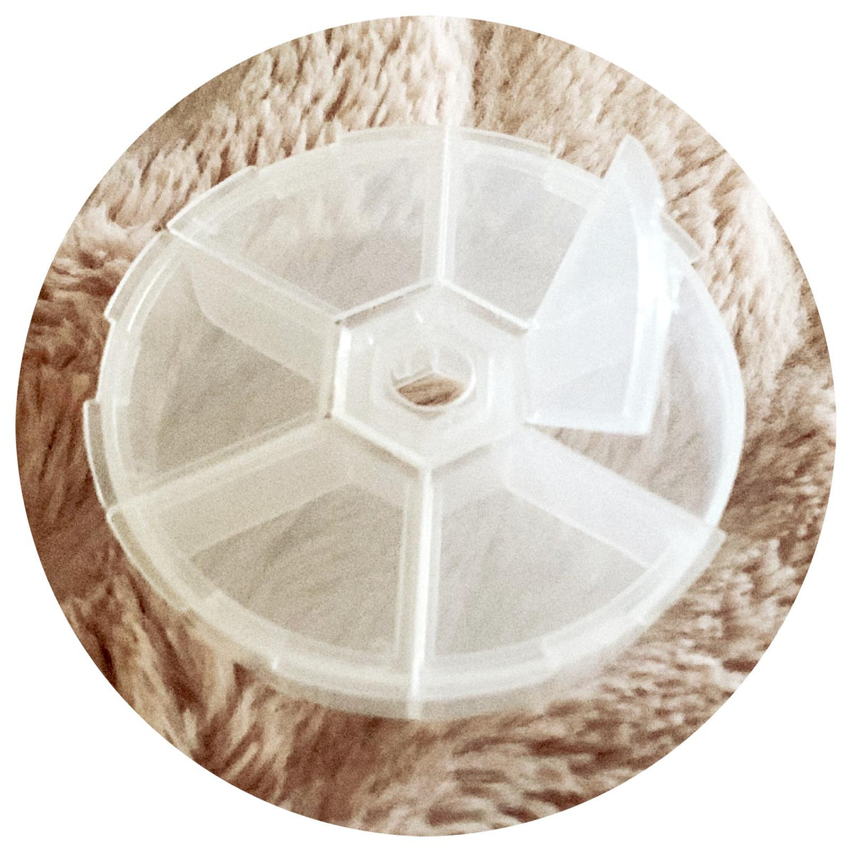 6-Grid Plastic Storage Container/Organiser - Circle